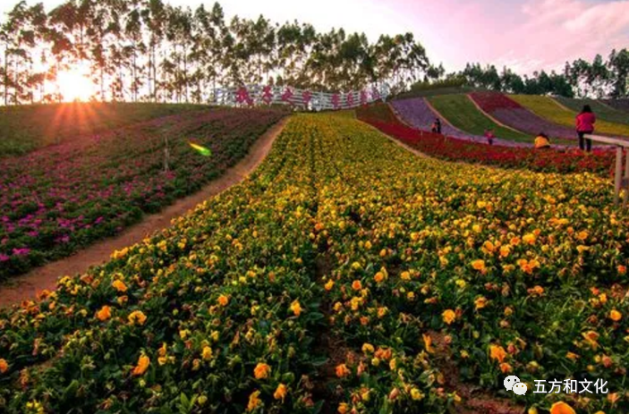 人到中年的我们，经历了城乡巨变