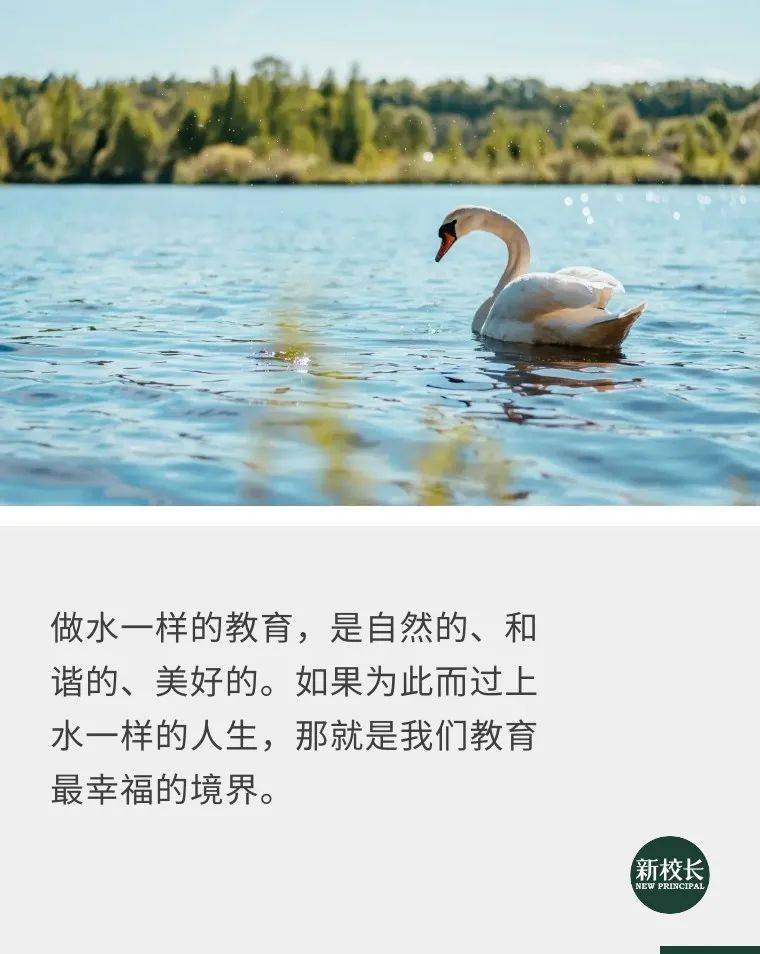 如果做的教育都像水一样,会是什么境况? 如果做的教育都像水一样,会是什么境况?