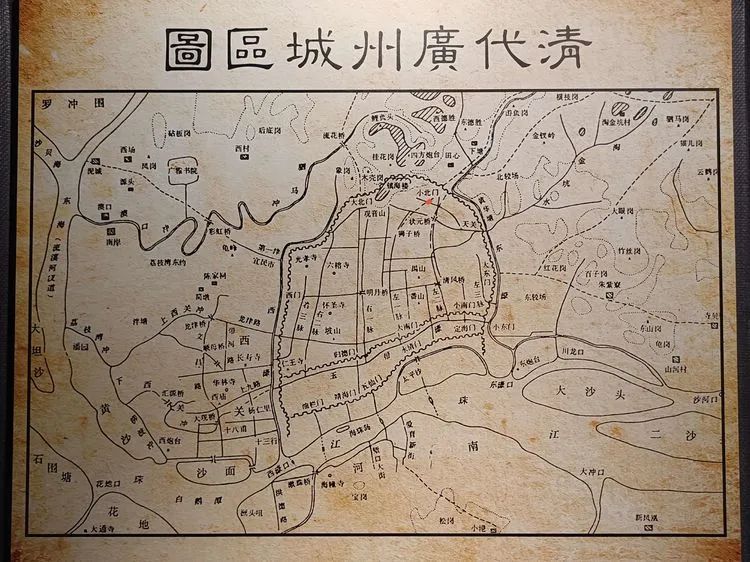 绿树阴浓夏日长——中队博物馆研学之旅