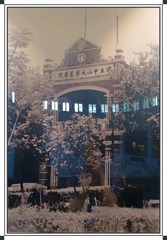 绿树阴浓夏日长——中队博物馆研学之旅