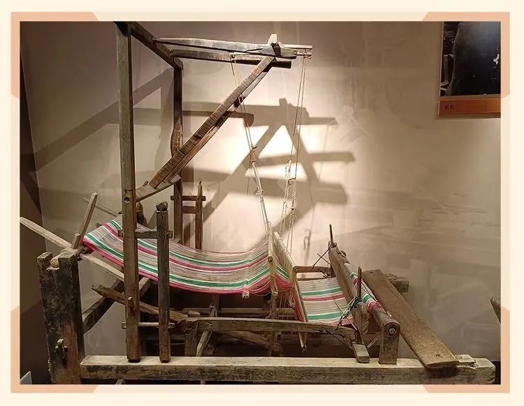 绿树阴浓夏日长——中队博物馆研学之旅