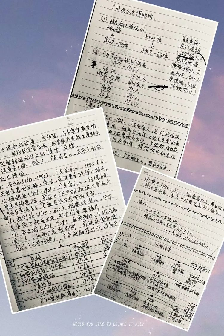 绿树阴浓夏日长——中队博物馆研学之旅