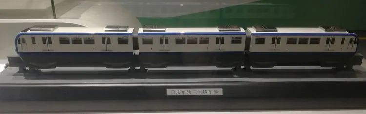 绿树阴浓夏日长——中队博物馆研学之旅