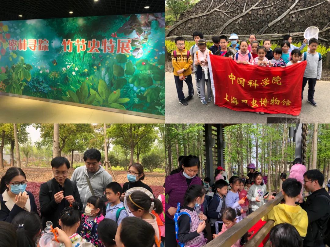 国际博物馆日- “博物馆一课”围绕发展学生综合素养课程