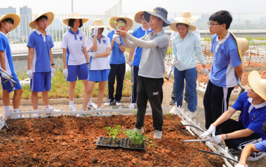 深圳学校在天台上开辟“开心农场”，开启农耕劳作新方式