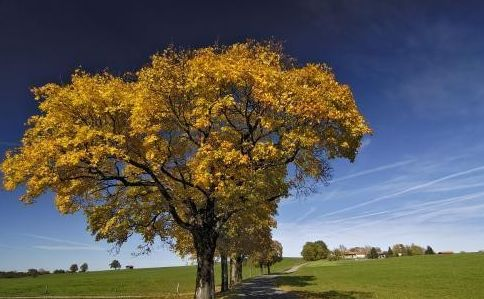 心理测试是一种比较先进的方法