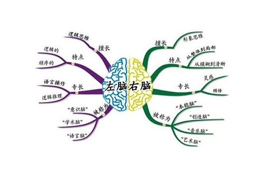 思维导图学习教学的作用有哪些？